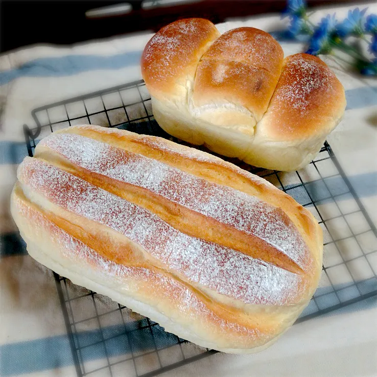 ふわんふわんミルクハースとミニ食パン🍞|さとみこさん