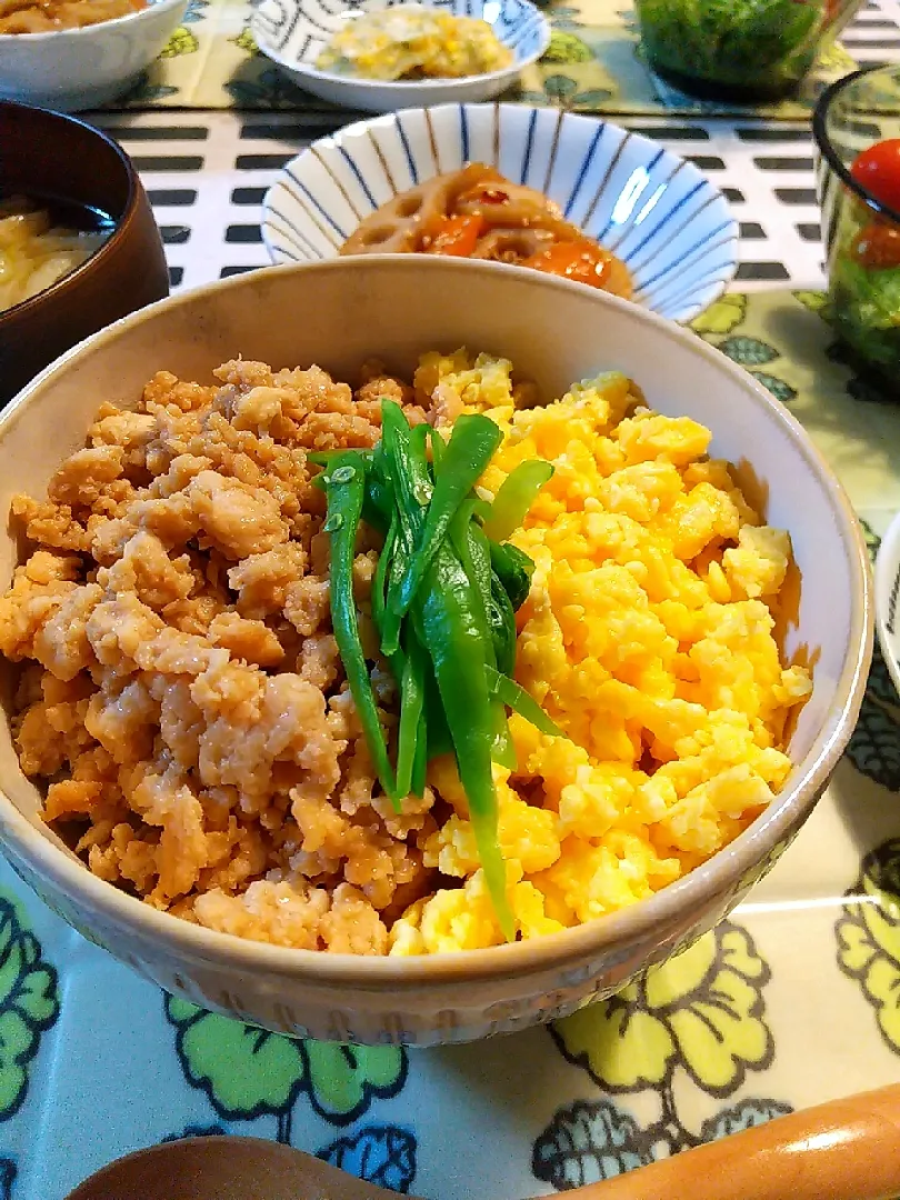 三色そぼろ丼|sumireさん