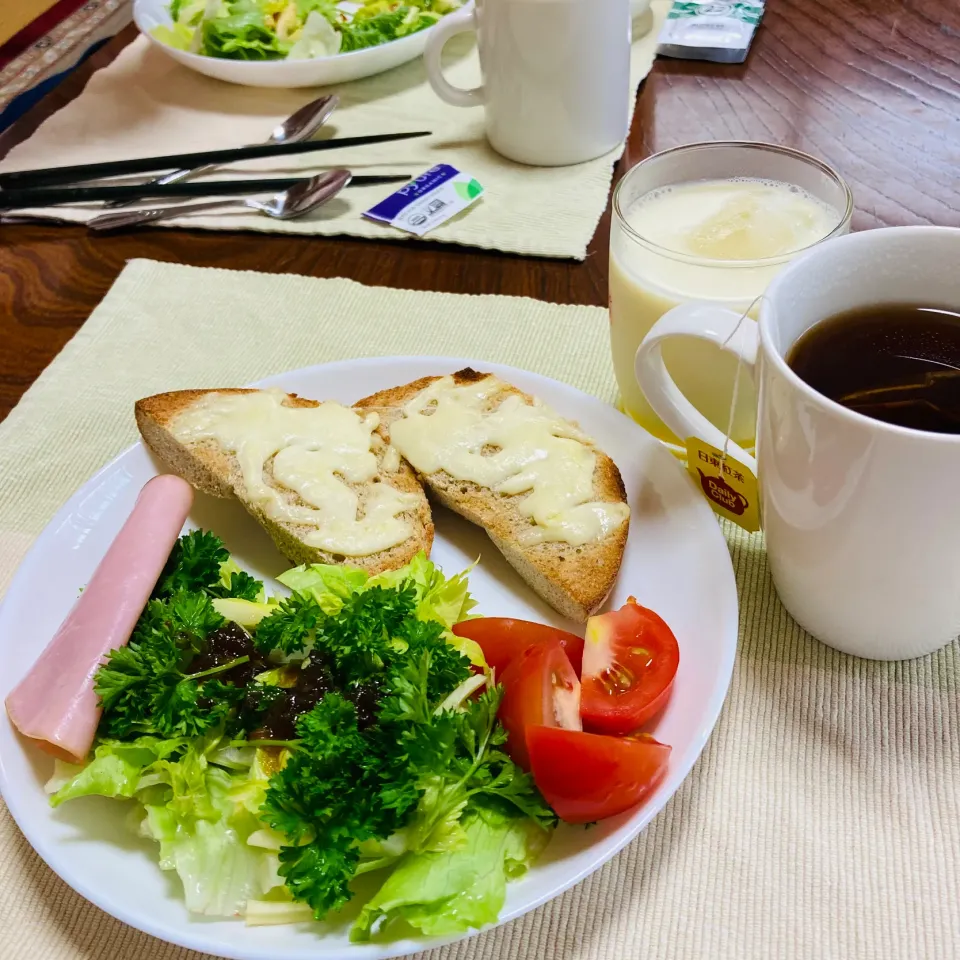 パセリたっぷりサラダ🥗とベーグル🥯|akkoさん