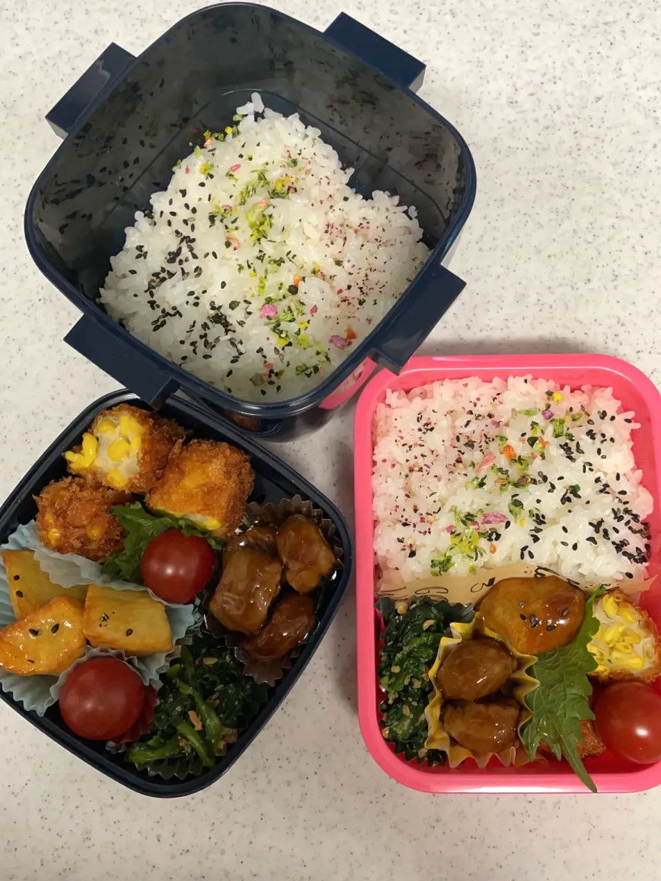 女子高生と男子高生のお弁当|料理嫌いなおかあさんさん