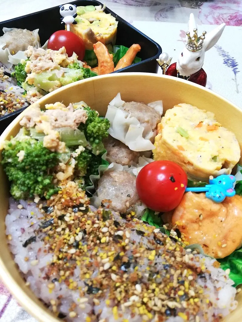 '21,5/25
本日のジジババ弁当🍱|たえさん