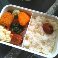 男の弁当| けんさん(ぜろ)さん