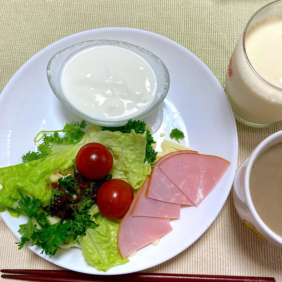 Snapdishの料理写真:サラダとヨーグルト|akkoさん