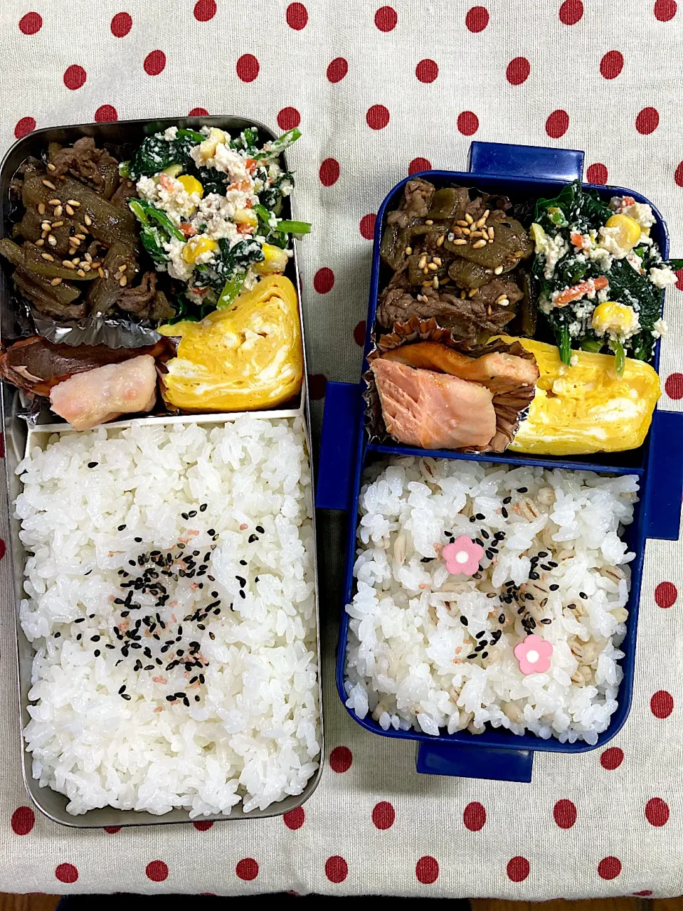 5月27日　今日は雨☂️☔️弁当🍱|sakuramochiさん