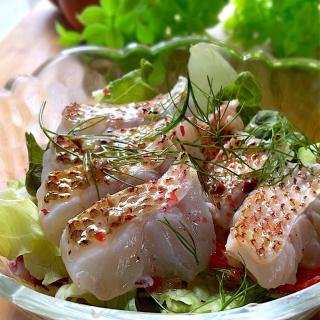 釣りアカムツの炙り激ウマ アカムツノドグロジギング水深300m Masato Snapdish スナップディッシュ Id 411vfa