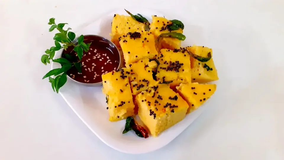 Khaman Dhokla🤤🤤😋|Pet_Poojaさん