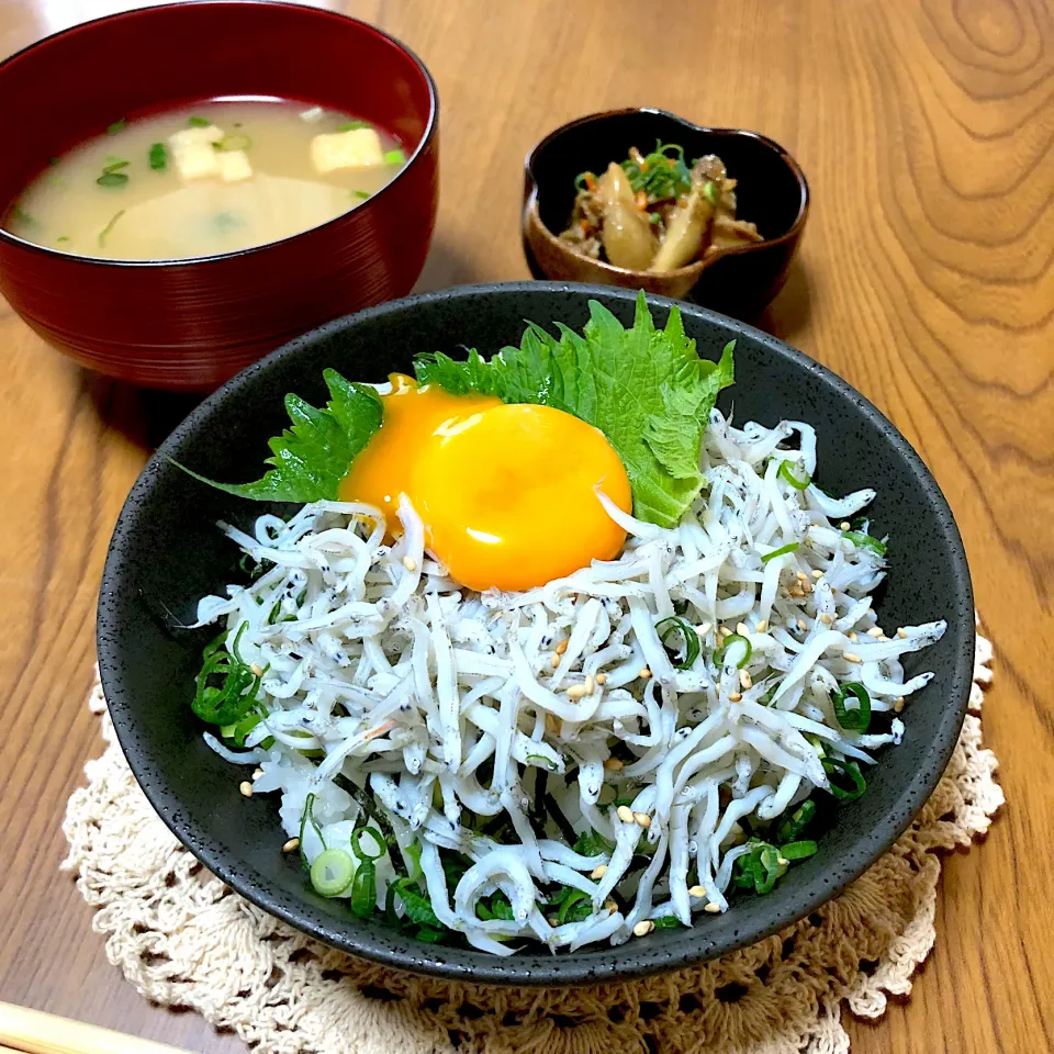 Fuji's kitchenさんの料理 しらす丼|理恵さん