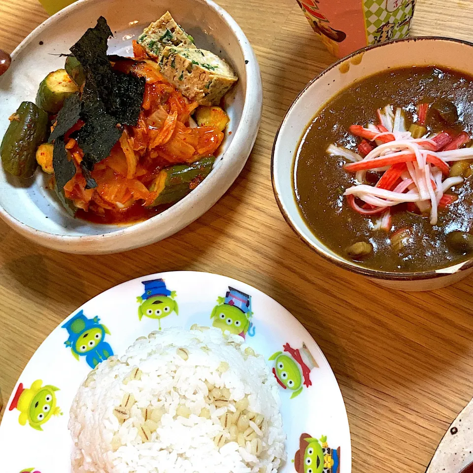 余り物とフープロ野菜のカレー、豆腐のサラダ|ChiMiさん