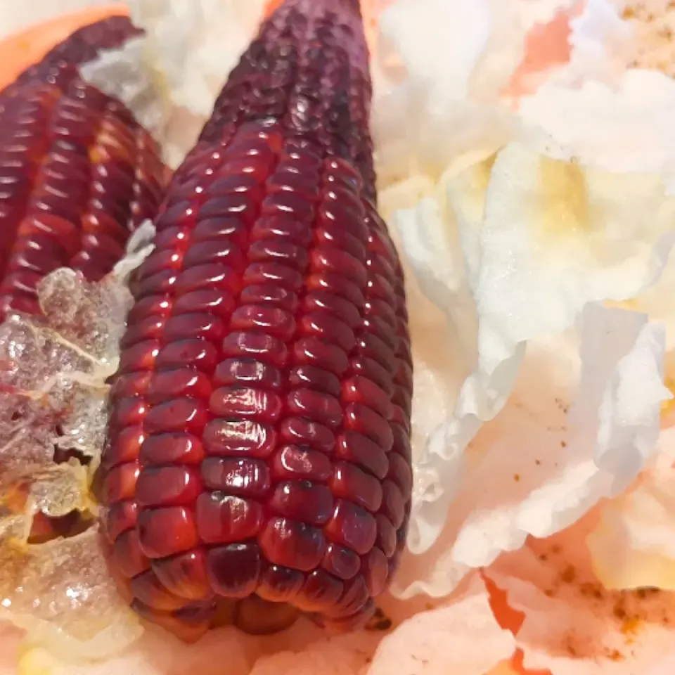 Zero sofictication 
Red corn on cob and rice paper 
Culture mix|Jorge Bernal Márquezさん