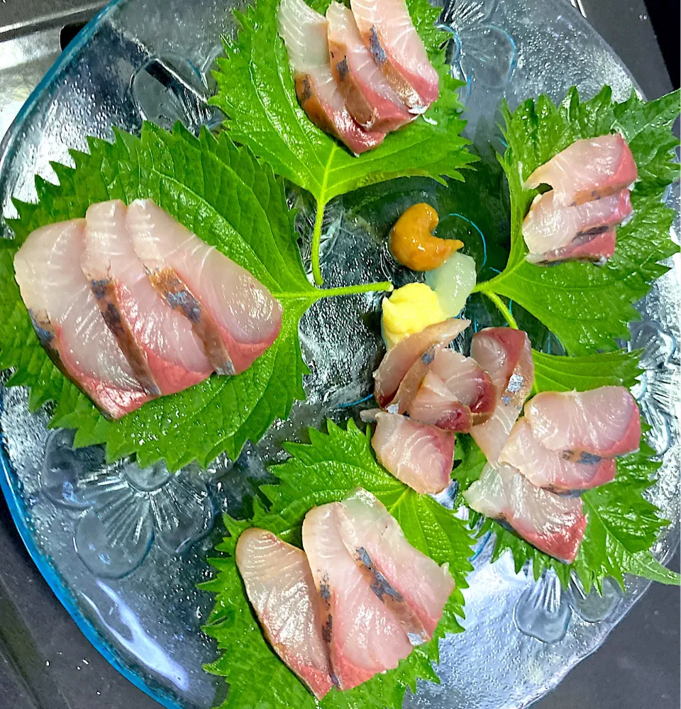 ツバス刺し身|お父ちゃんファミリーさん