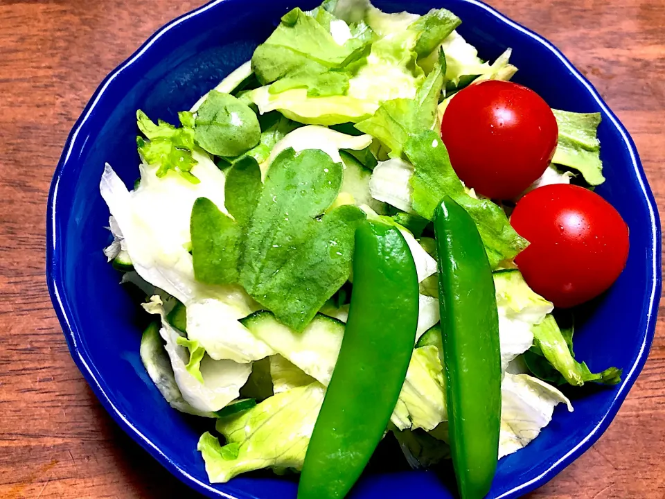 サラダ春菊入りサラダ🥗|ひだまり農園さん