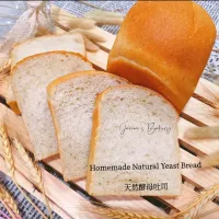 Plain natural yeast loaf bread|Jan98teeさん