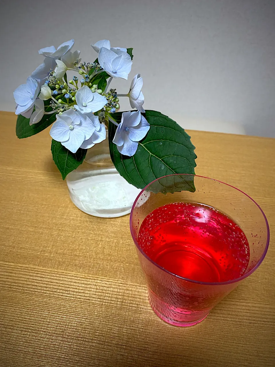 Snapdishの料理写真:この季節がきました！赤紫蘇ジュース🍹|1614さん