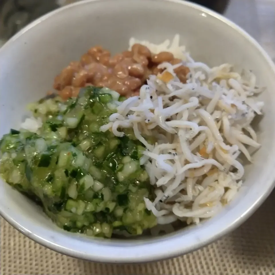 Snapdishの料理写真:しらす丼|KIAさん