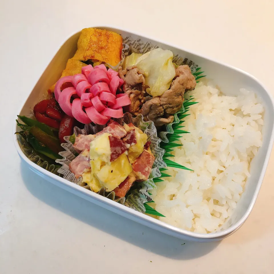 お弁当|suzuさん