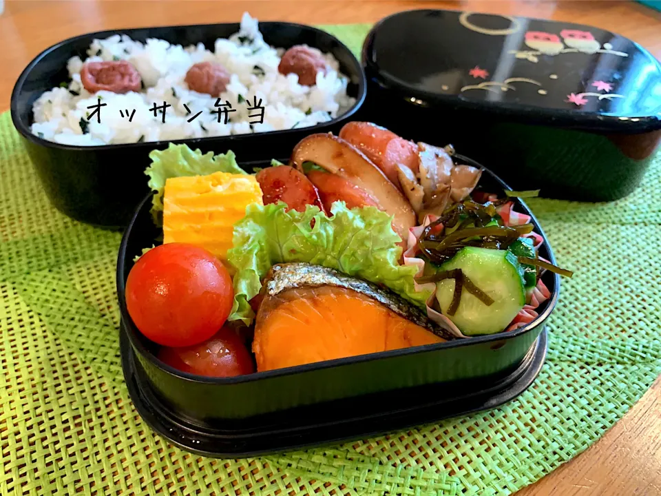 今日のお弁当🍱塩鮭弁当|いちごさん