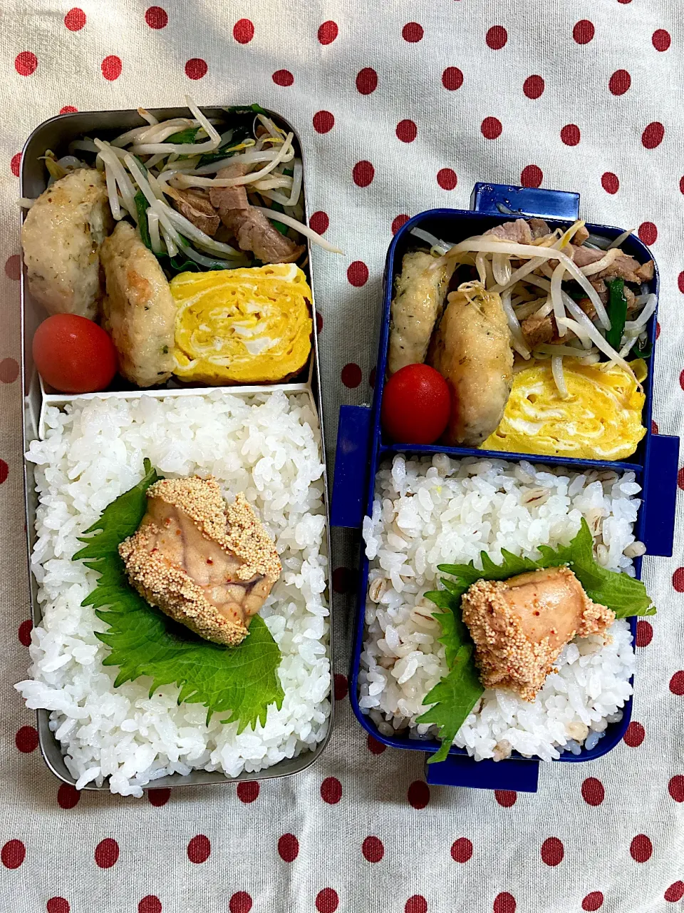 6月2日　久々弁当🍱|sakuramochiさん