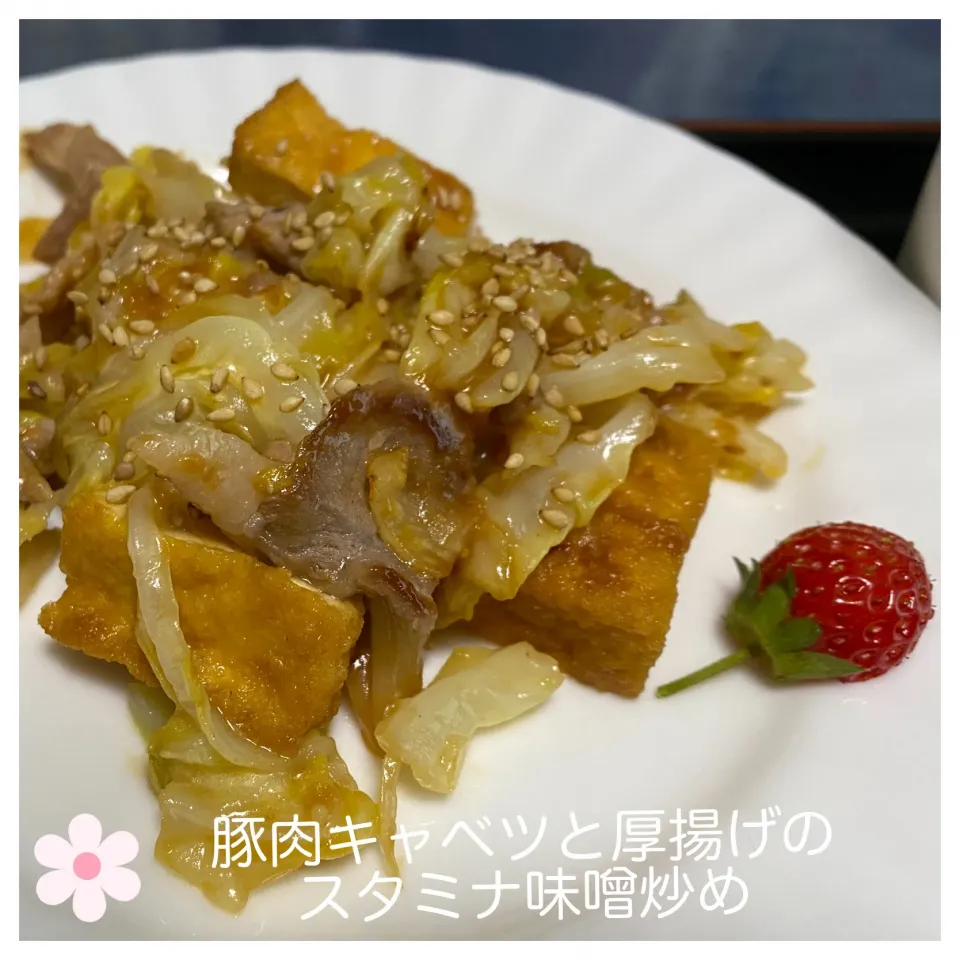 Snapdishの料理写真:豚肉キャベツと厚揚げのスタミナ味噌炒め|いのっちさん