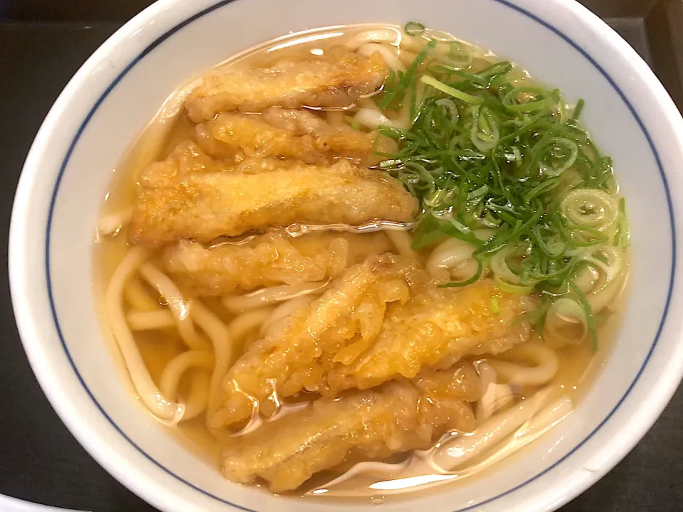 #ごぼう天うどん|m.mさん