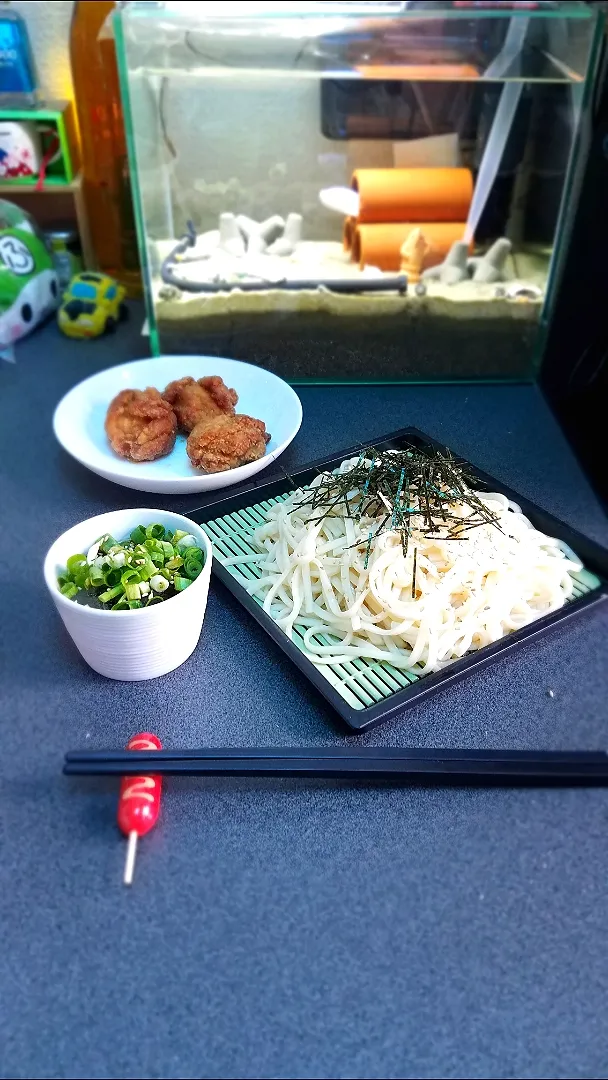 Snapdishの料理写真:ざるうどん定食風🏖️|masaki .fさん