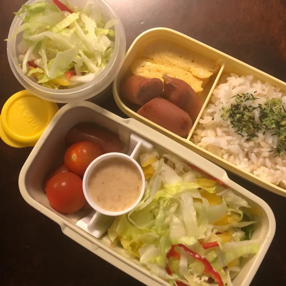 ほぼサラダ弁当|charinkoqさん