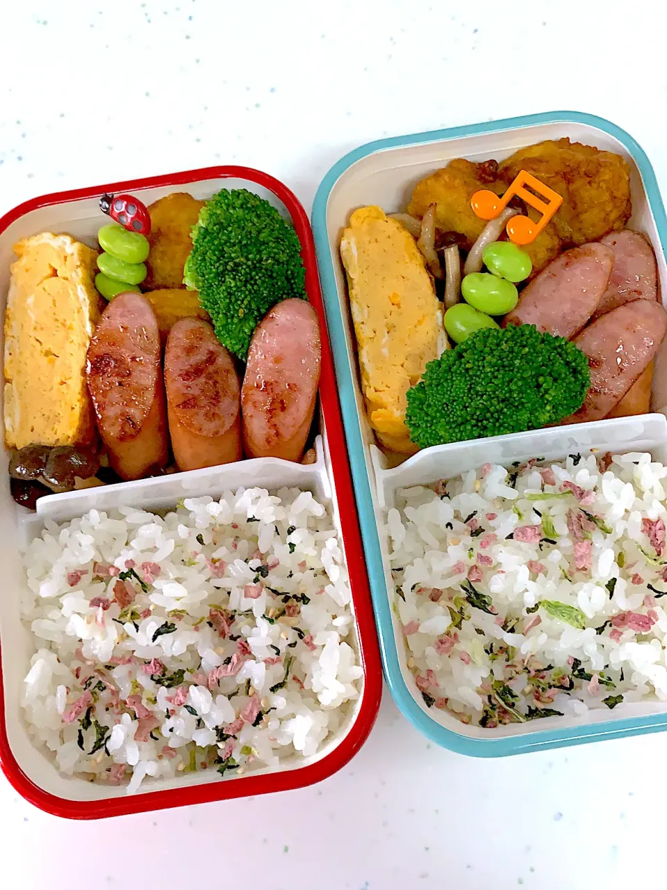 Snapdishの料理写真:2021/6/4高校生の娘と私のお弁当|hiro himiさん