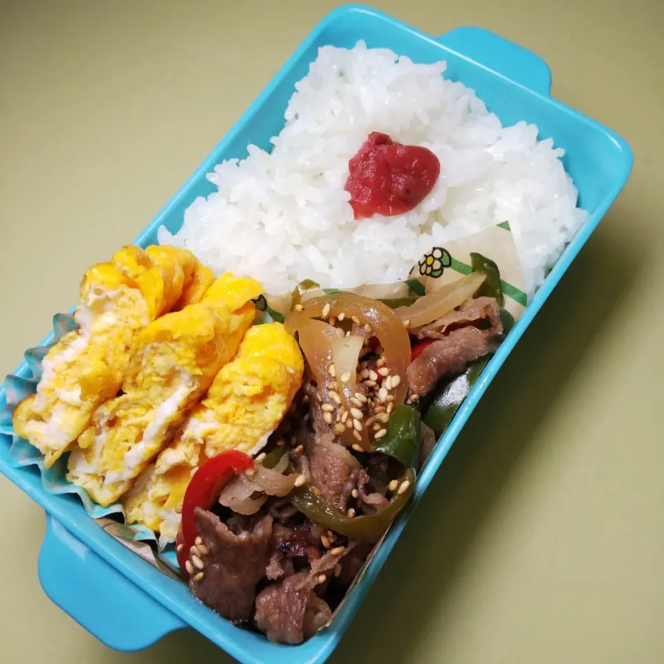 6/5  JKおたま弁当|けろよんさん