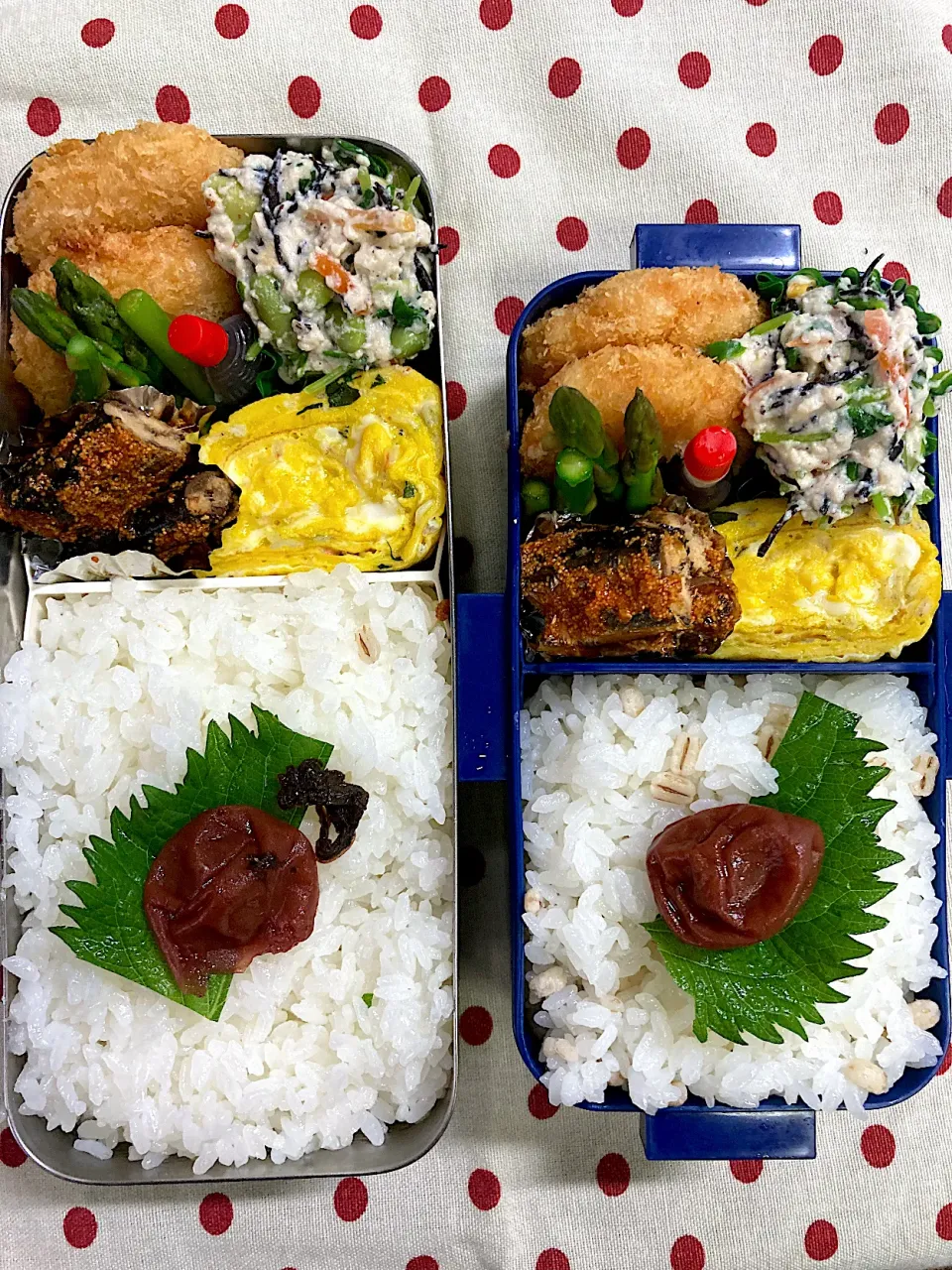 Snapdishの料理写真:6月4日　週末弁当🍱|sakuramochiさん