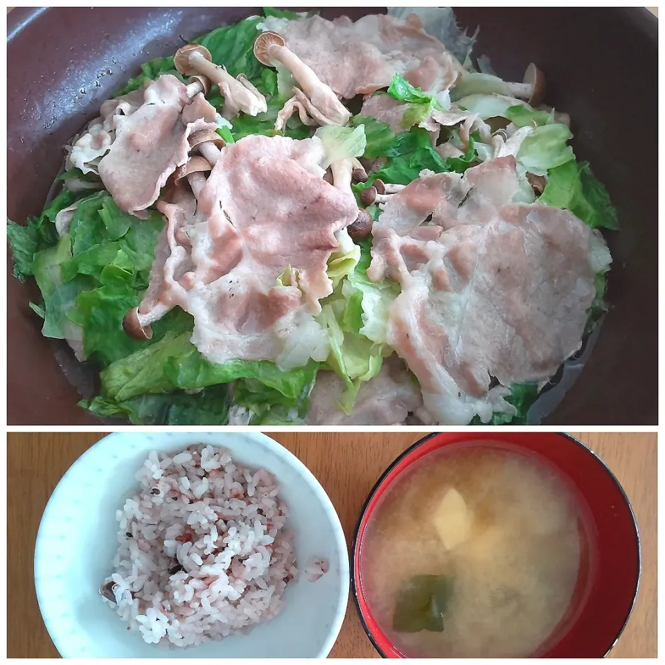 Snapdishの料理写真:５月１５日　たっぷり野菜の白だし蒸ししゃぶ　豆腐のお味噌汁|いもこ。さん