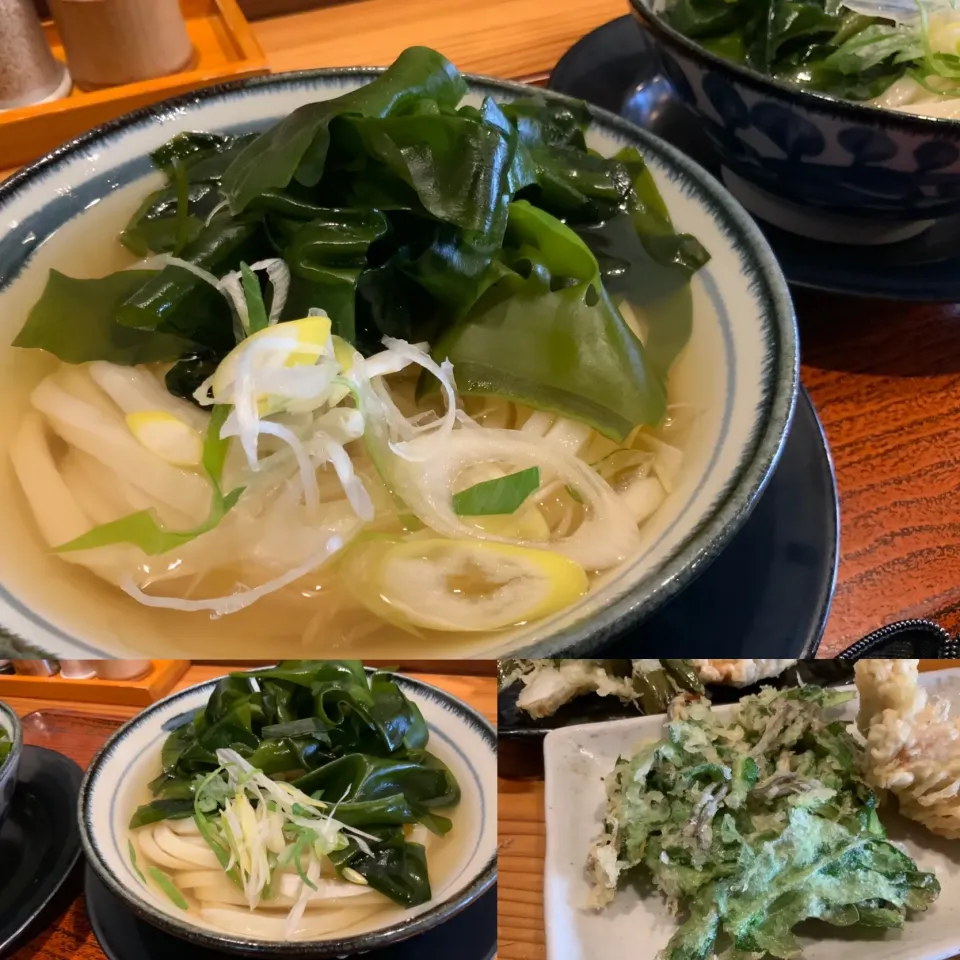 Snapdishの料理写真:グルメ『手打ちうどんいわしや』　#料理研究家指宿さゆり|【公式】料理研究家　指宿さゆり≫ｽﾀｼﾞｵ（ｽﾀｯﾌ運営）さん