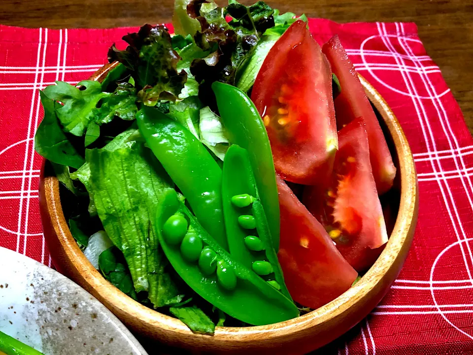 自家製野菜満載！サラダ🥗|ひだまり農園さん