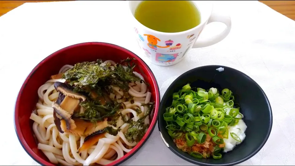 6/6の朝食
かけうどん|卯月さん