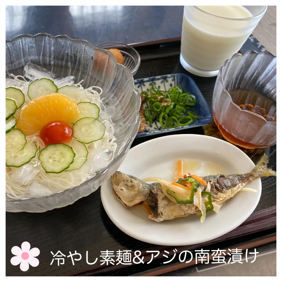 Snapdishの料理写真:冷やし素麺&アジの南蛮漬け|いのっちさん