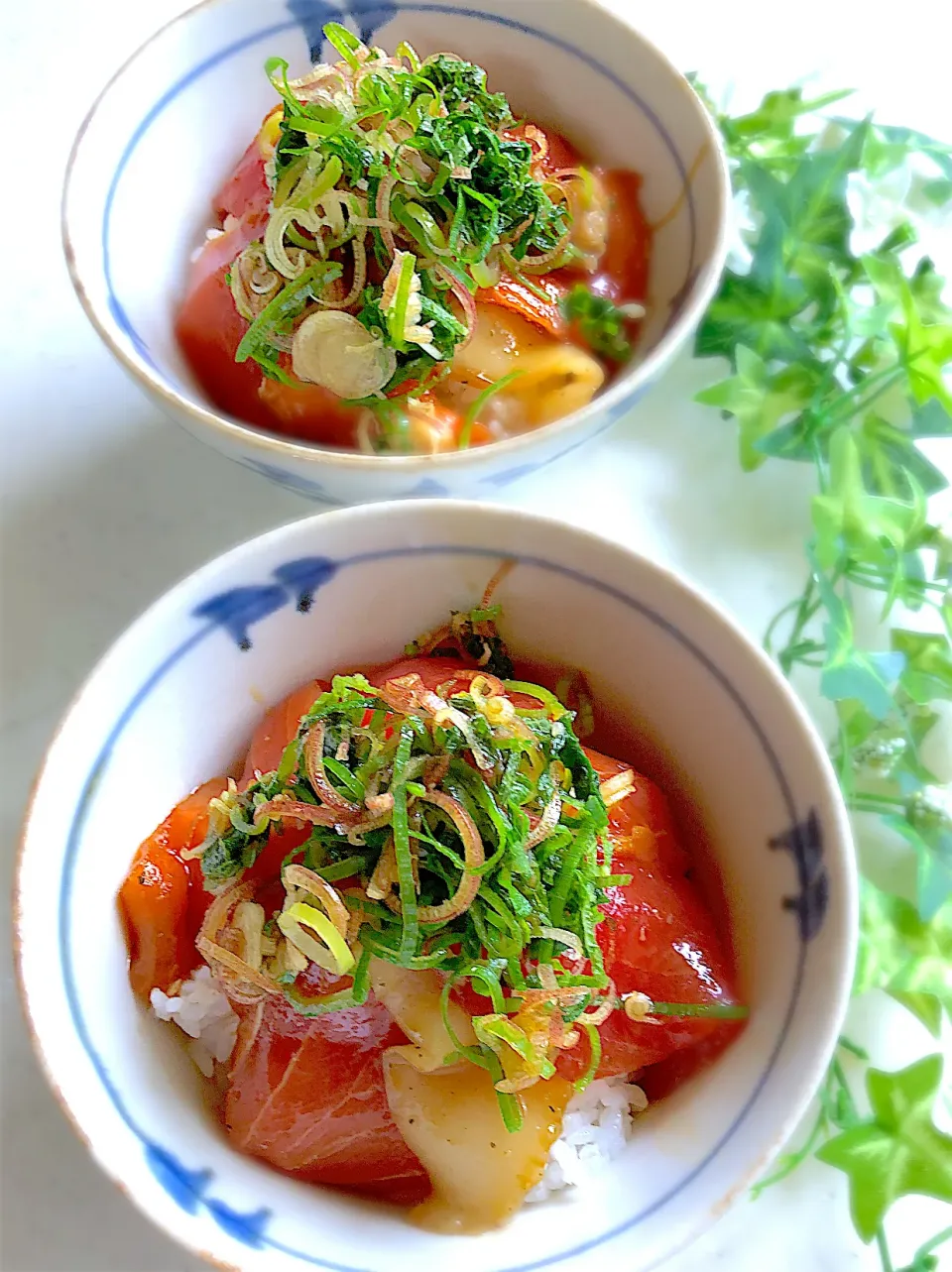 Snapdishの料理写真:只今絶賛マイブーム中❗️薬味いっぱい漬け丼|みゆきさん