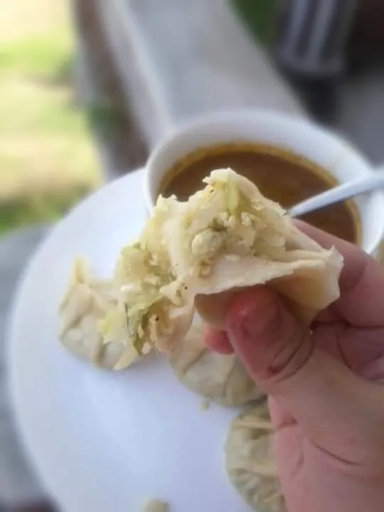  Chayote squash Momo with Paneer|manさん