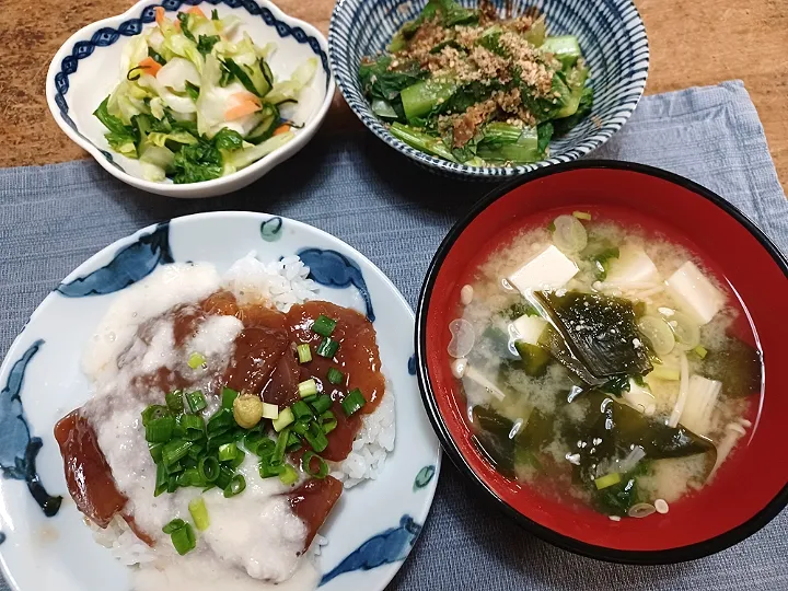 鮪の漬け丼|ぱいんてーるさん