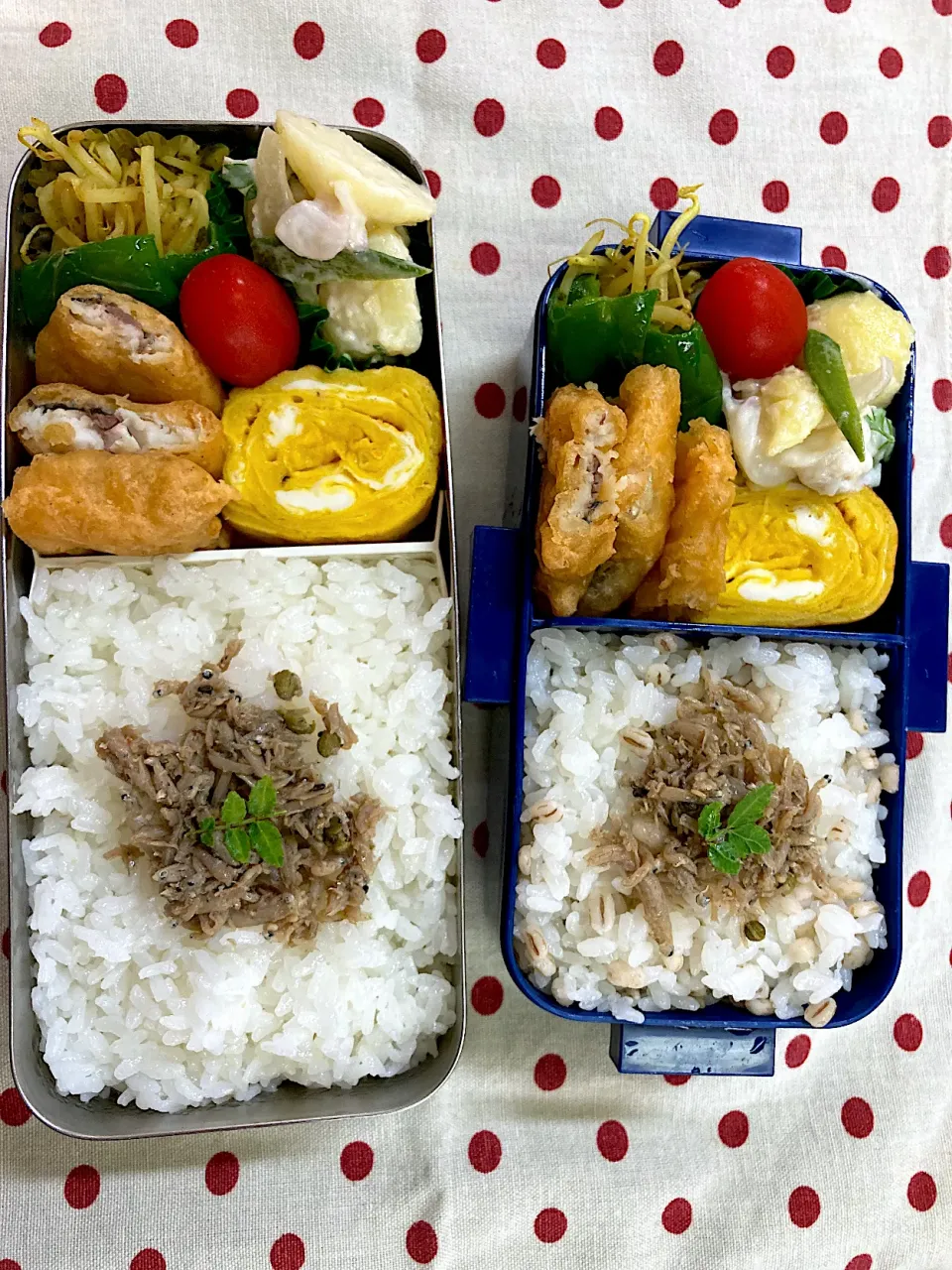 6月7日 週の始まり弁当🍱|sakuramochiさん