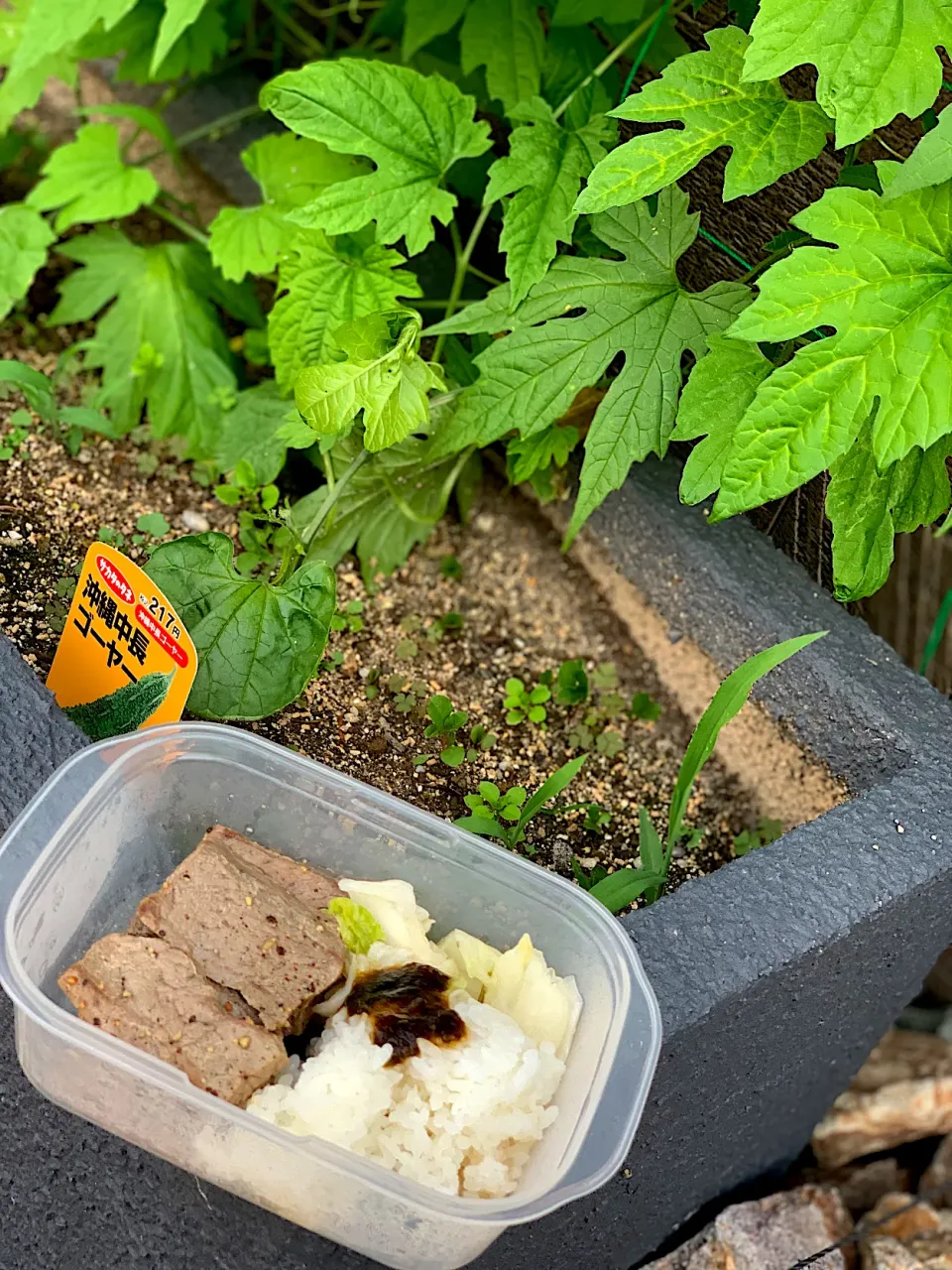 鯨の肉焼いたんとご飯。減量中のトレーニング前ご飯|たかあきさん