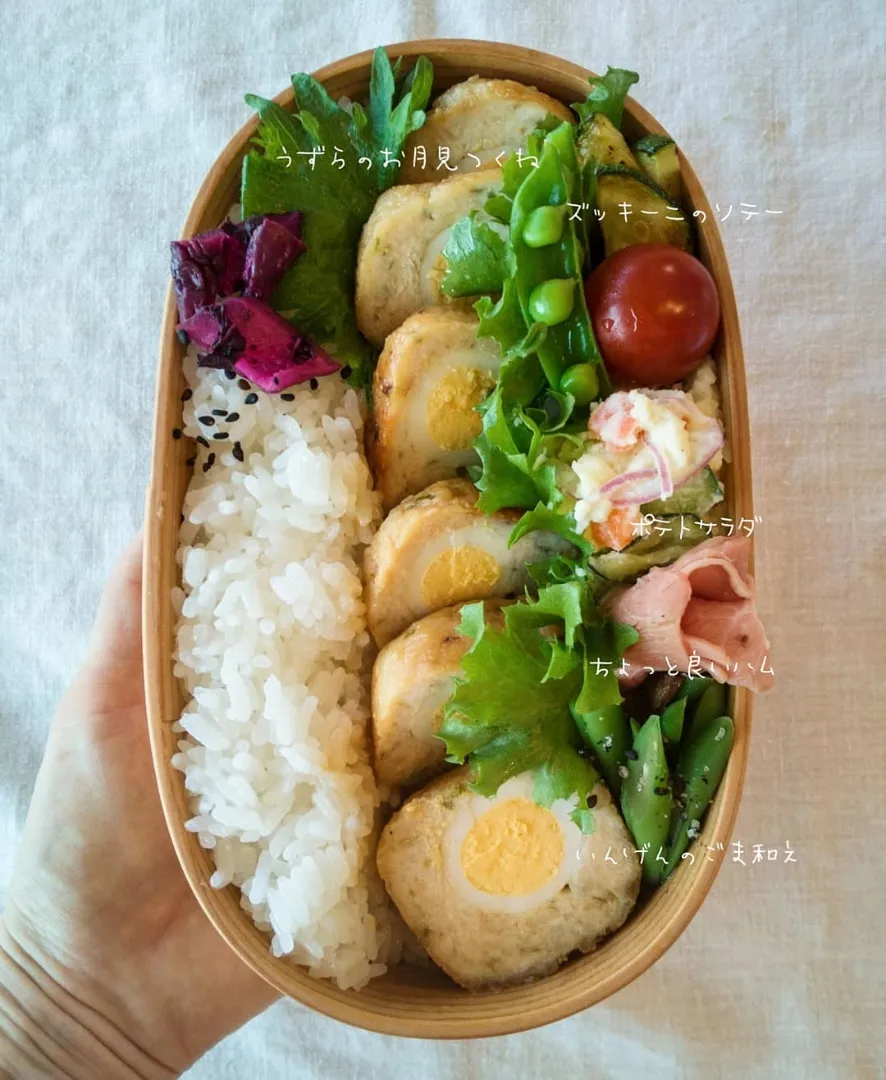 今日のお弁当🍱|こまめさん