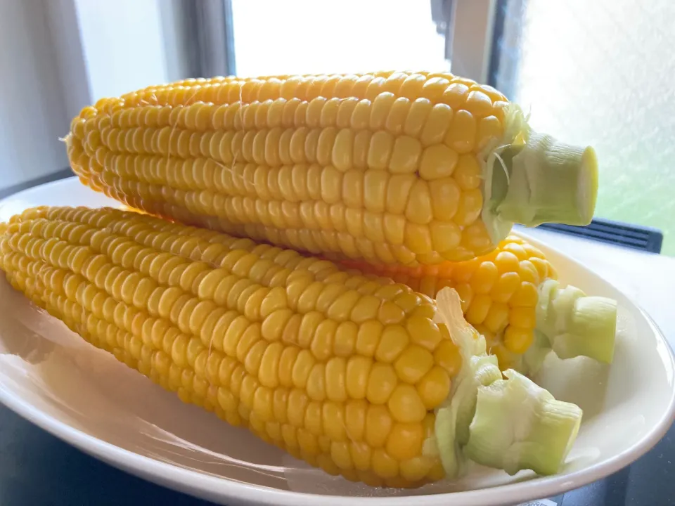 ＊今季初のとうもろこし🌽＊|＊抹茶＊さん