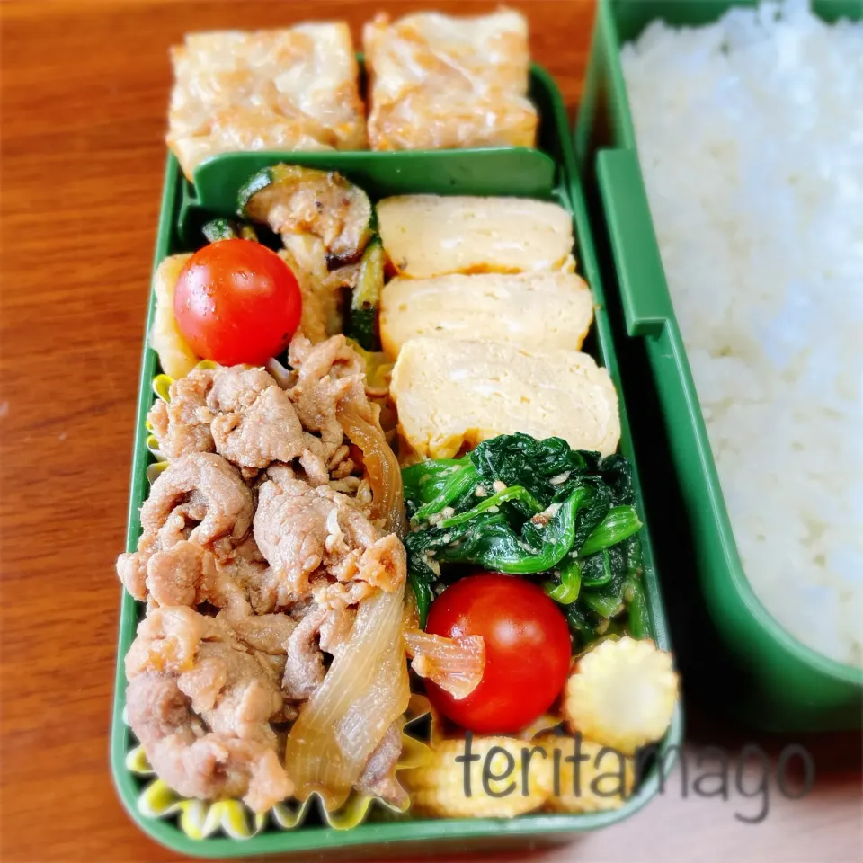 お弁当|teritamagoさん