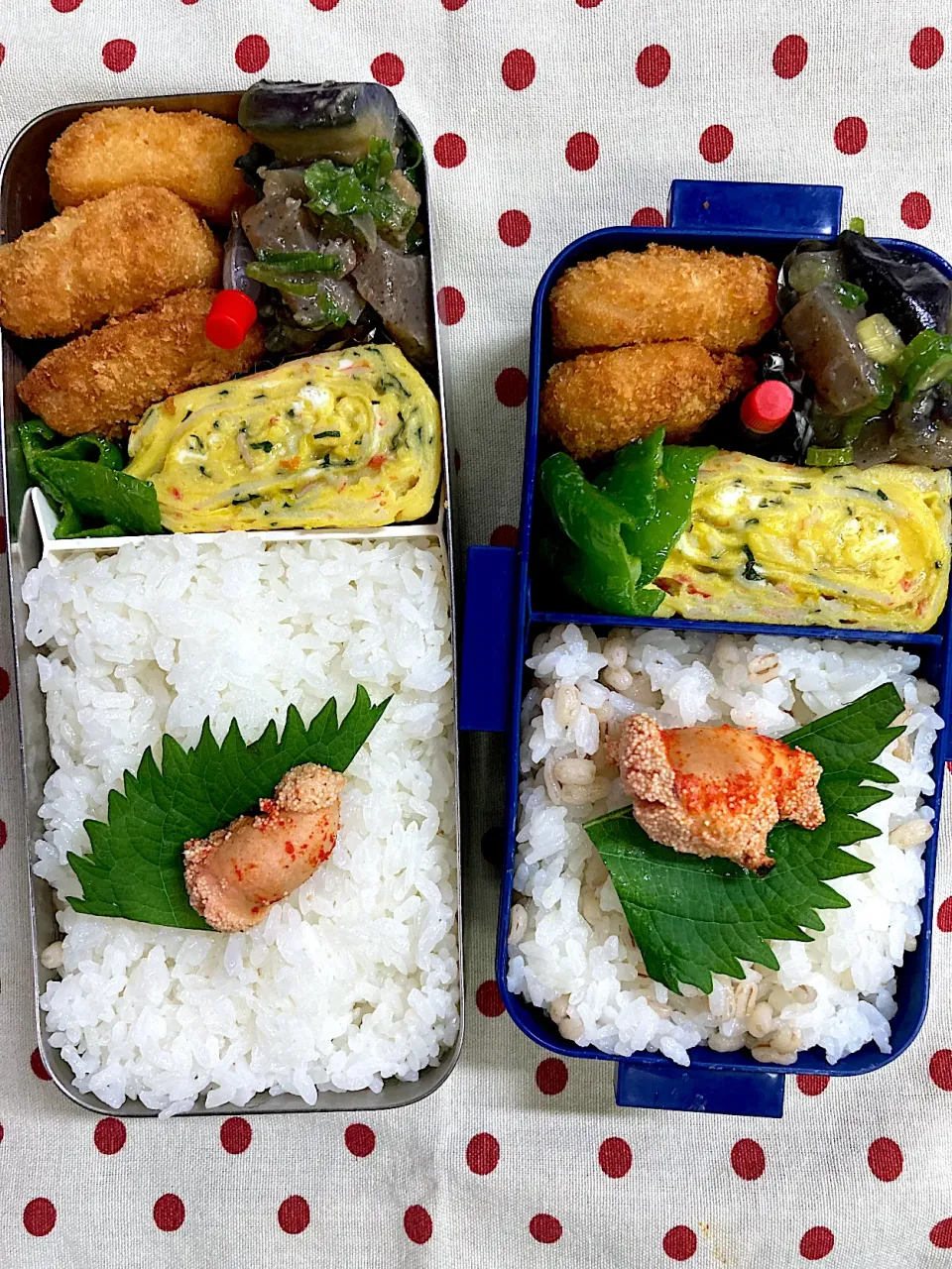 6月11日　メインは玉子焼き(笑)弁当🍱|sakuramochiさん