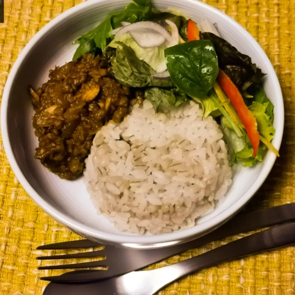 大豆のお肉とツナのキーマカレー|こらそんさん