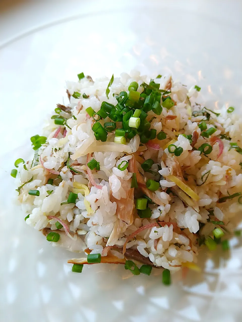 焼きサバと香味野菜のサラダ風ごはん|まめころさん