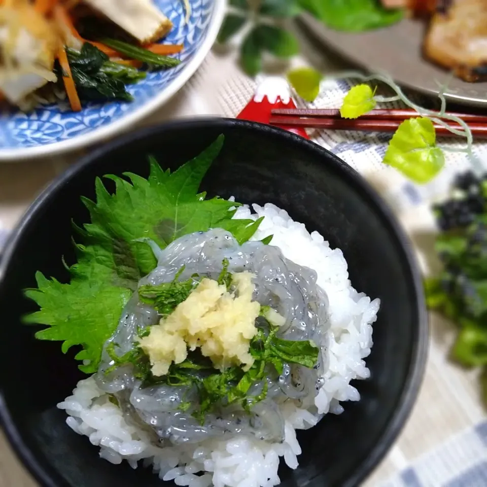 Snapdishの料理写真:しらす丼〜(◍•ᴗ•◍)✧*。|とまと🍅さん