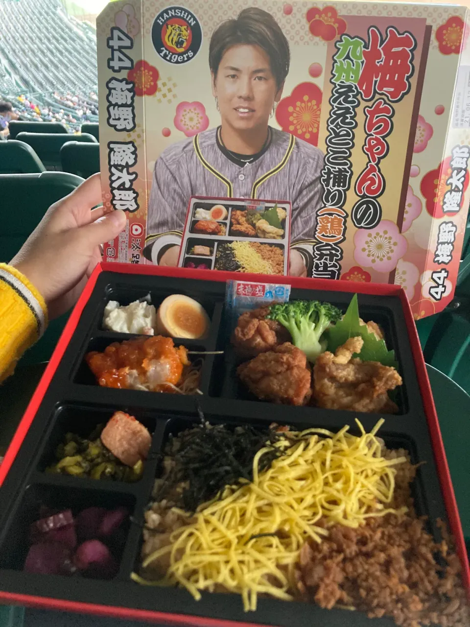 6月13日晩ご飯。ファームの観戦に2日続けて甲子園。梅ちゃんお弁当❣️|あやさん