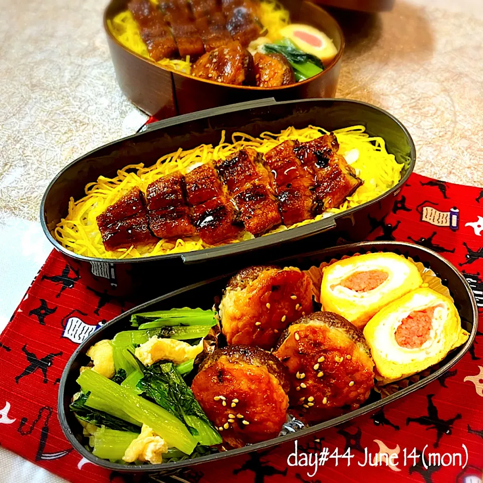 Snapdishの料理写真:★ある日のDK弁当&JD弁当★|♡ciao♡さん