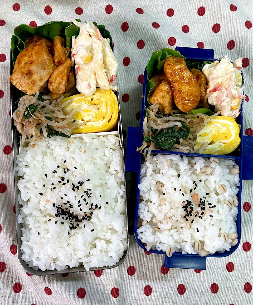 6月14日 週の始まり弁当🍱|sakuramochiさん