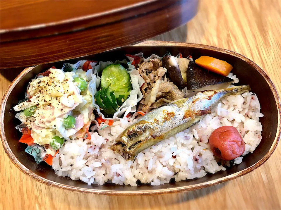 サラ弁　　　　　　　　　　　　　　　　　　焼きししゃも　ポテサラ　胡瓜の酢物　牛肉と椎茸の煮物|じゅんさんさん