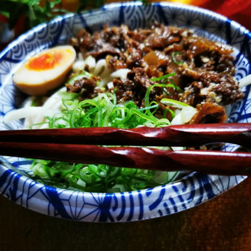 １日☔温かい肉うどん(~‾▿‾)~|ペンギンさん